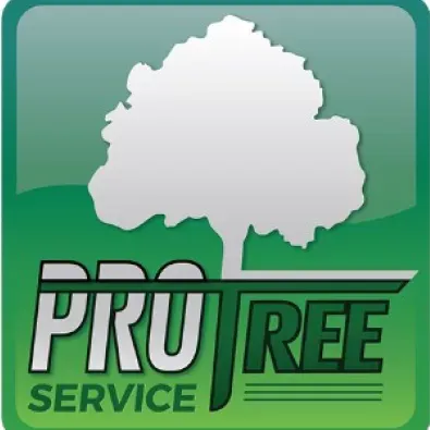 Pro Tree Service