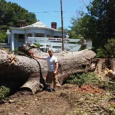 Quintal Tree Service