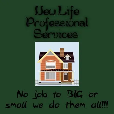 New Life Professional Services
