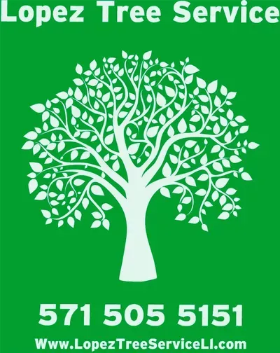 LopeztreeServiceLlc.com