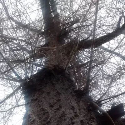 Superior Outdoor Maintenance