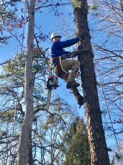 Figuemax Tree Service, LLC