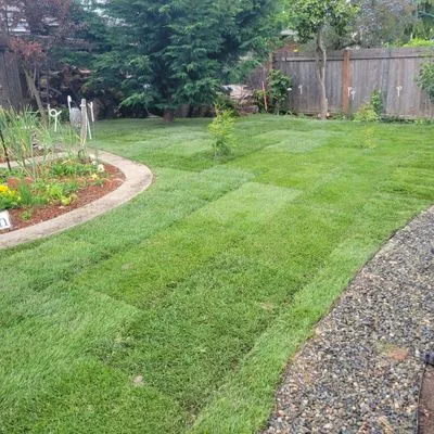 Evergreen paradise landscaping LLC