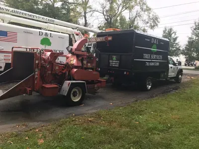 D&L TREE SERVICES  INC