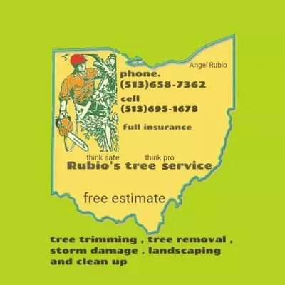 Rubio's tree service