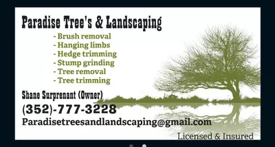 Paradise Trees & Landscaping