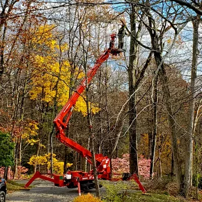 Tree Fellers, Inc.