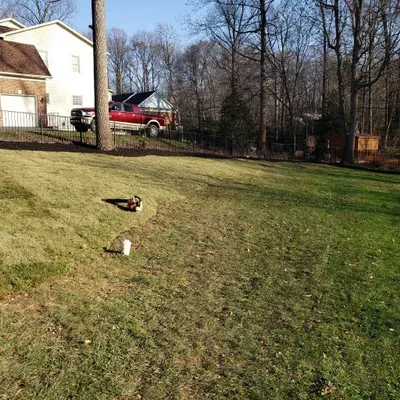 cesarexperttreecervice's and lawndscaping