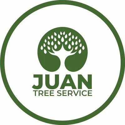 Juan Clean Off And Tree Service