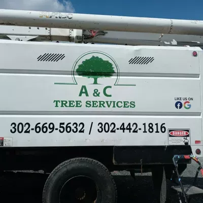 A&C Tree service Llc