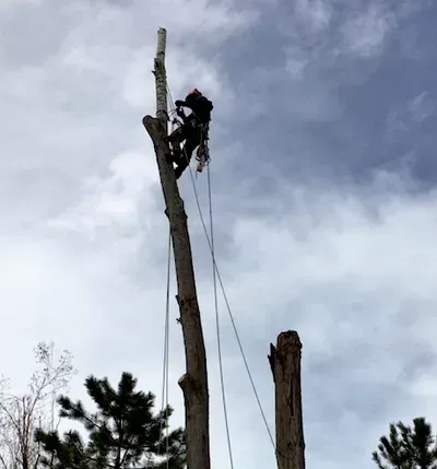 Front Range Forestry Services, LLC