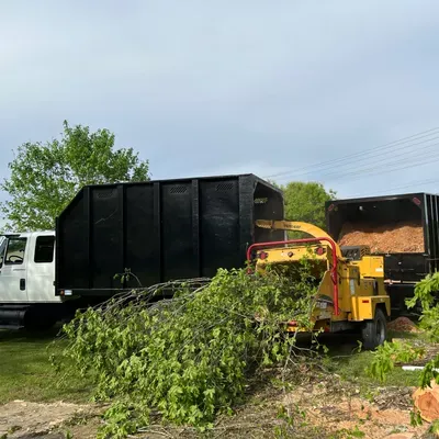 Gomez Tree Service LLC