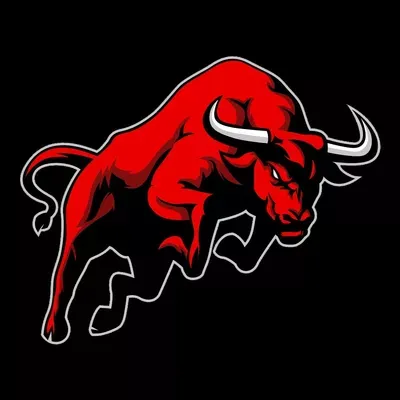 Toro Security