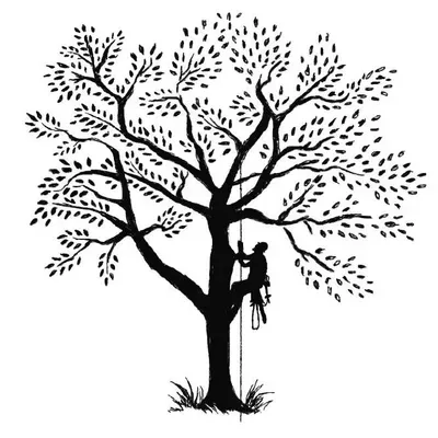 Biddle's Tree Care