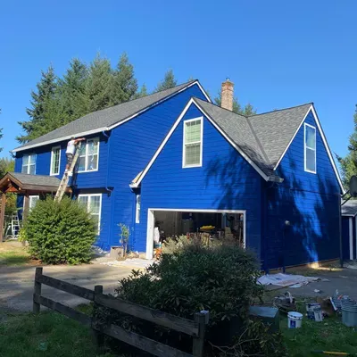 ELVIEJON AGRIDULCE PAINTING LLC