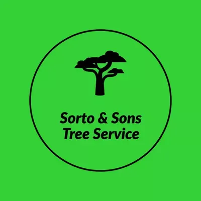 Sorto & Sons Inc. tree/ landscaping service
