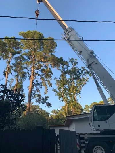 Southern Tree Experts