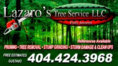 Lazaro’s Tree Service