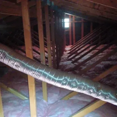 Elite Eco Rodent Proofing