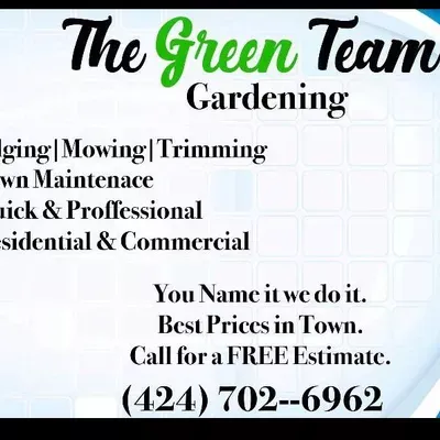The greenteam 310