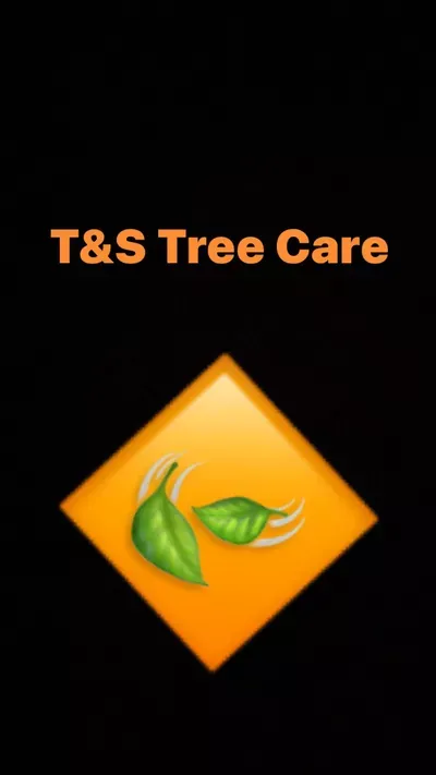 T&S TREE CARE