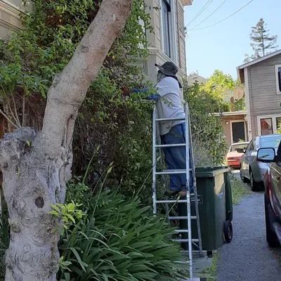 Gardening Cruz