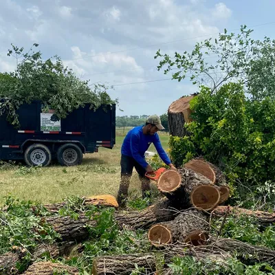 Jose Tree Service