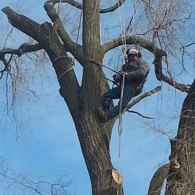 Pablos landscaping LLC