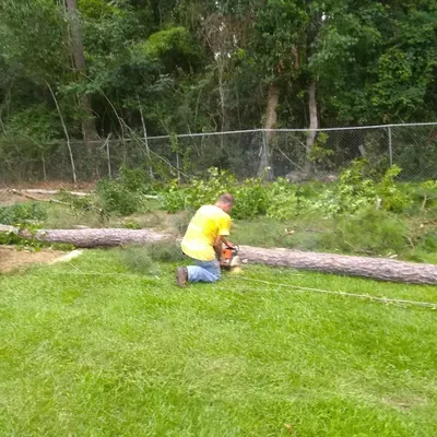 Lj's tree removal and sod installation