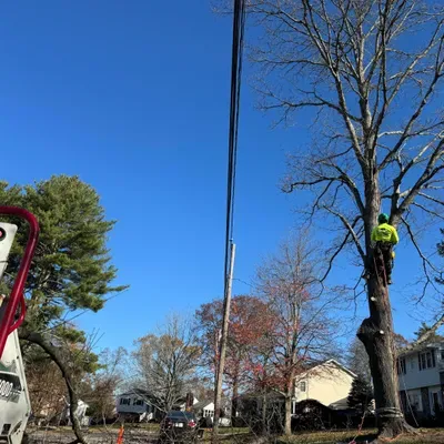 Nelson’s Hardscape & Tree Service Inc