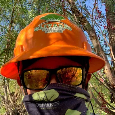 Olivares Gardening