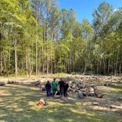 Arita’s tree Service LLC