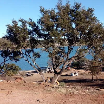 All Pro Tree & Landscape