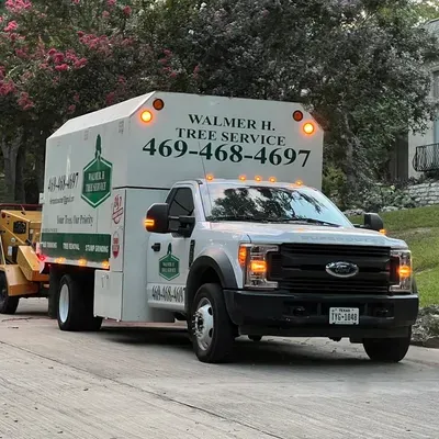WALMER.H tree service