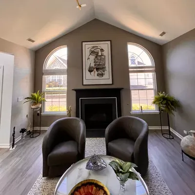 Fresh Look Painting