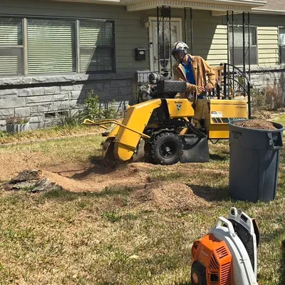 Skyreach Tree Service