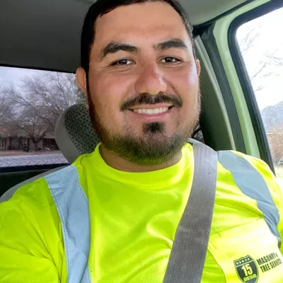 15 brothers tree service