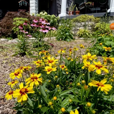 Bluegrass Ecological Design