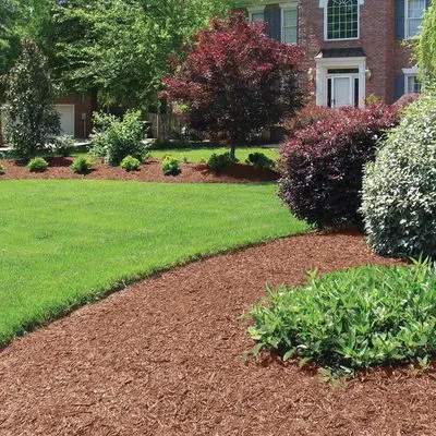 Souza Irrigation and Landscape
