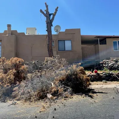 DDAS Tree Services, LLC