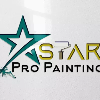 Star Pro Painting