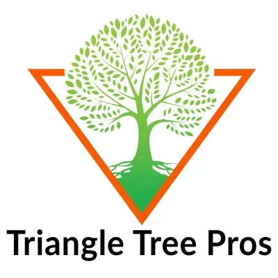 Triangle Tree Pros