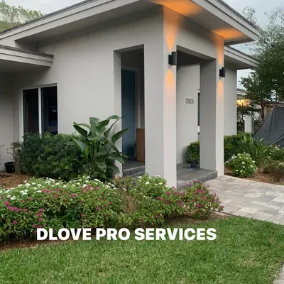 DLOVE PRO SERVICES LLC