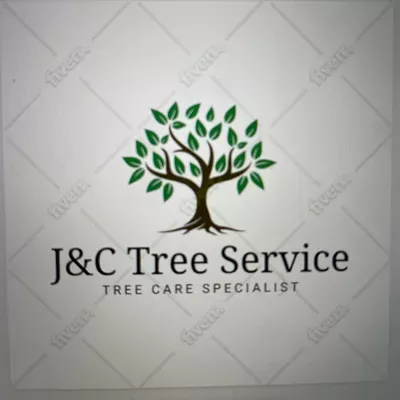 J&C tree service