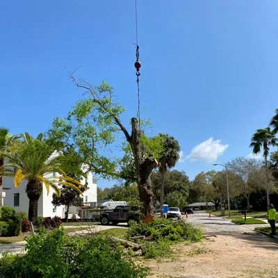 East Pasco Arbor Company