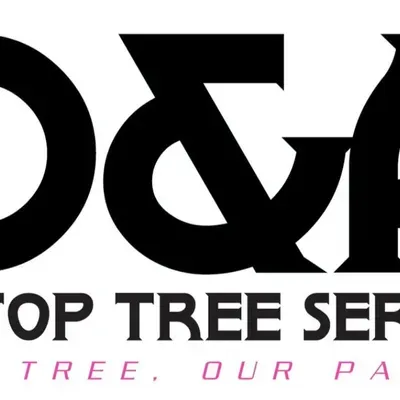 D and A Tip Top Tree Service LLC