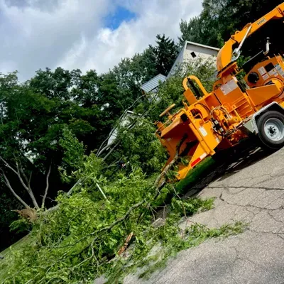 J&J Tree Care
