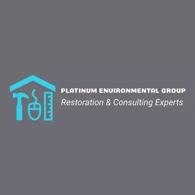 Platinum Environmental Group