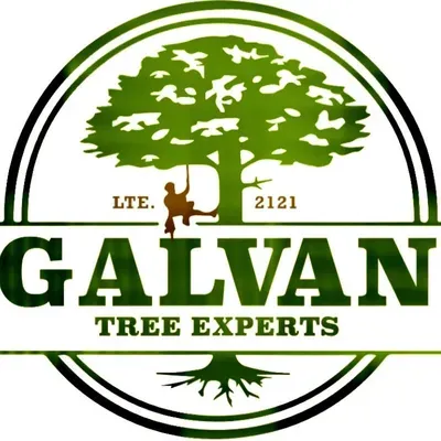 Galvan Tree Experts