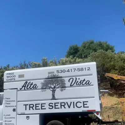 Alta Vista Tree Service